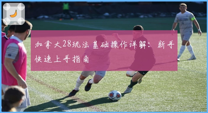 加拿大28玩法基础操作详解:新手快速上手指南