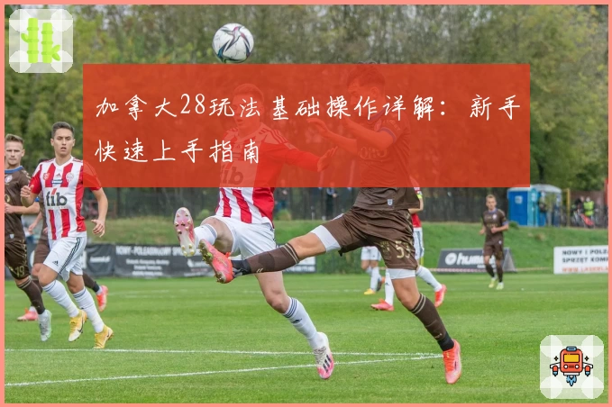 加拿大28玩法基础操作详解：新手快速上手指南