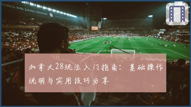 加拿大28玩法入门指南：基础操作说明与实用技巧分享