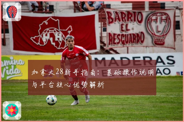 加拿大28新手指南：基础操作说明与平台核心优势解析