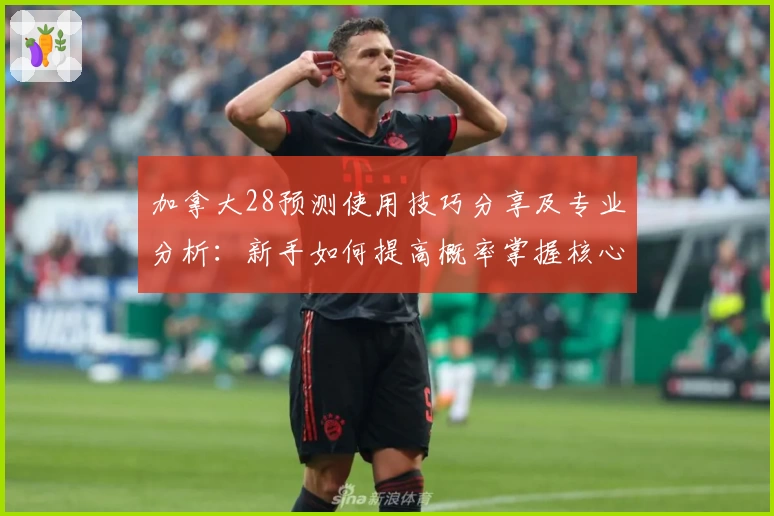加拿大28预测使用技巧分享及专业分析：新手如何提高概率掌握核心规律