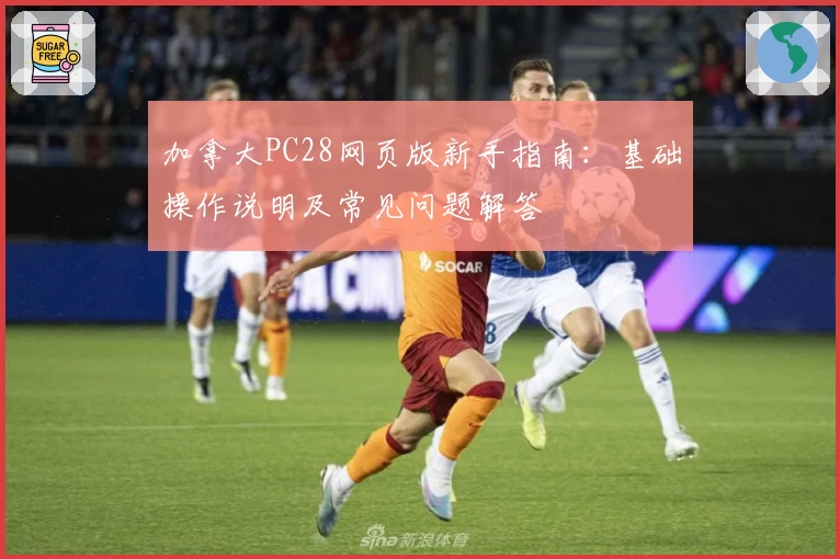 加拿大PC28网页版新手指南:基础操作说明及常见问题解答